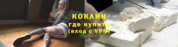 каннабис Богданович